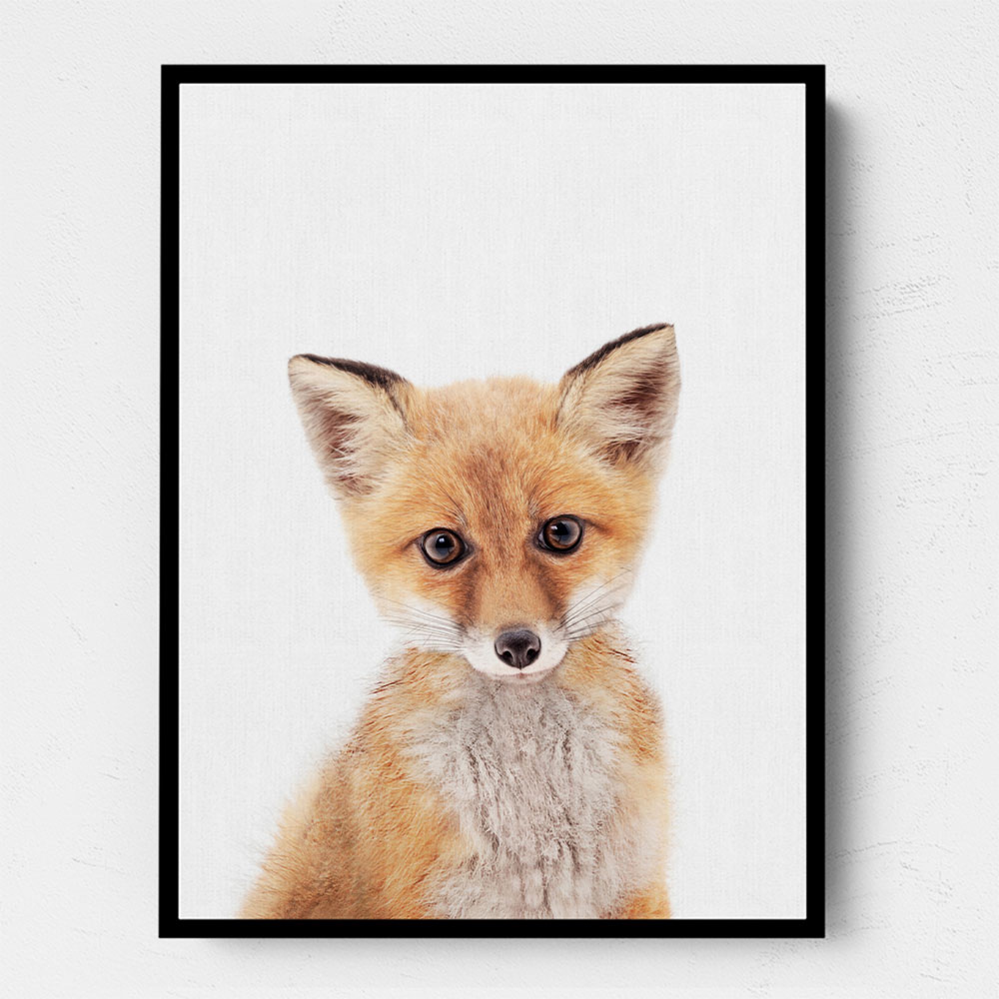 Baby Fox Wall Art